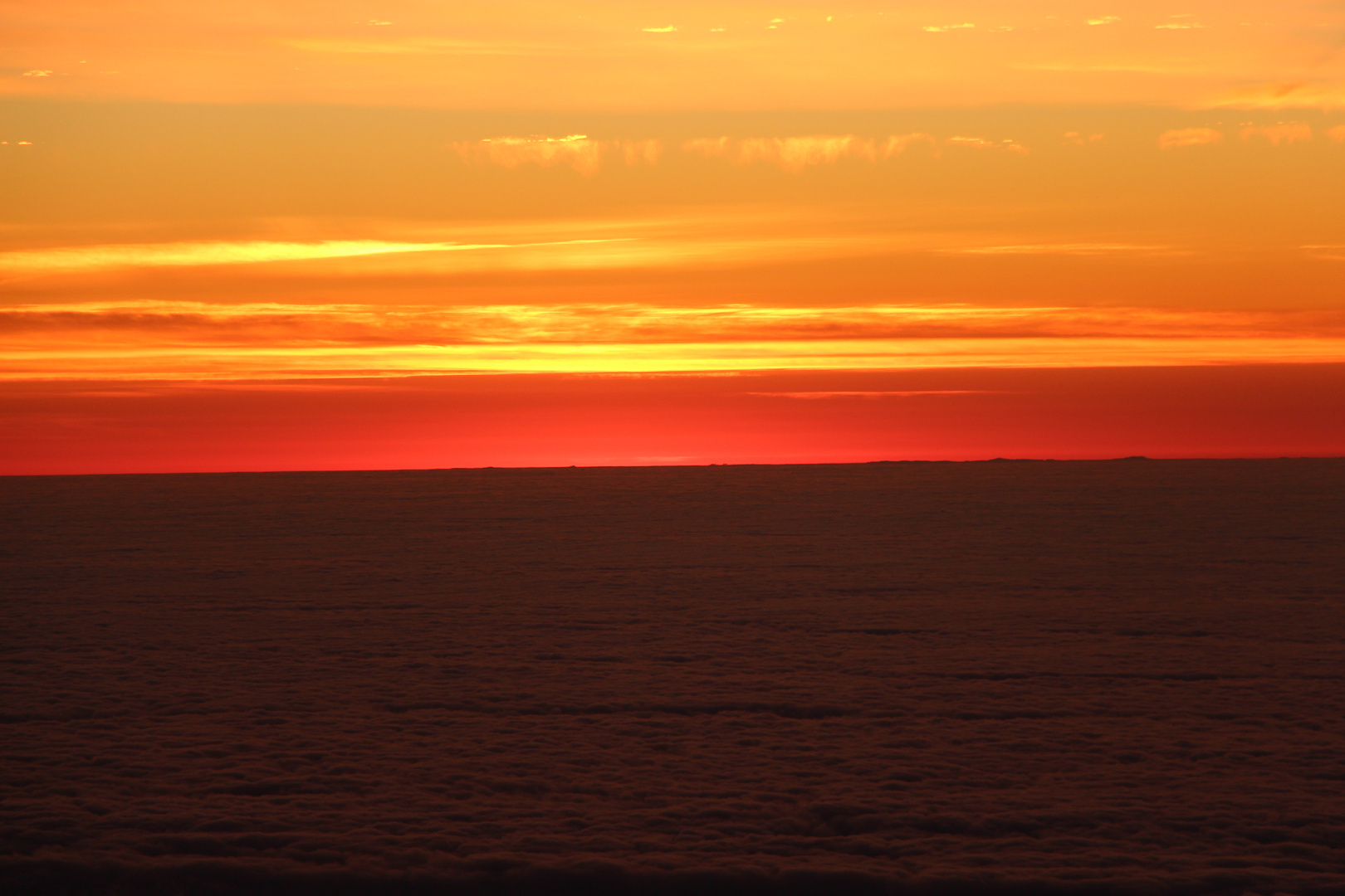 Morgenröte auf Wolkenmeer