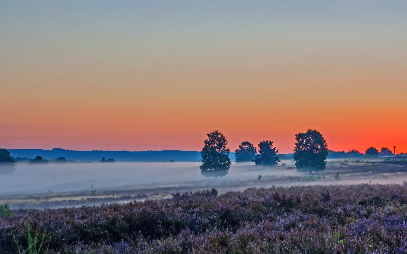 Morgenröte