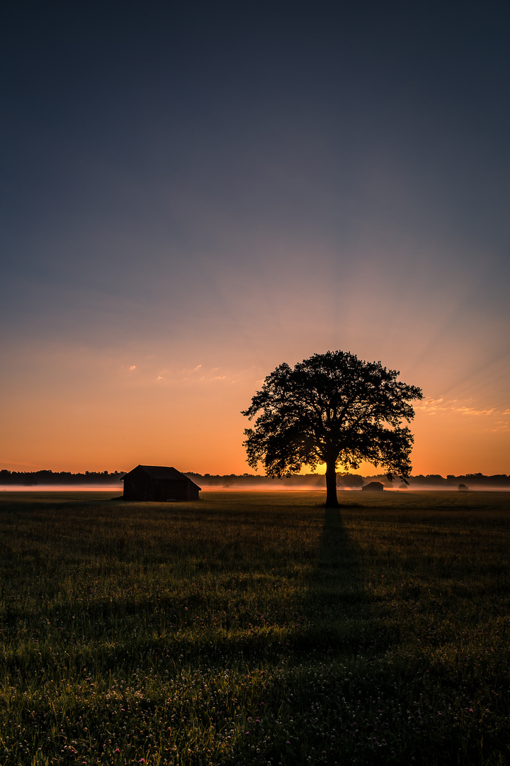 Morgenröte I