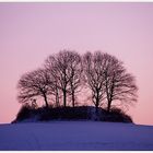 Morgenröte im Anmarsch