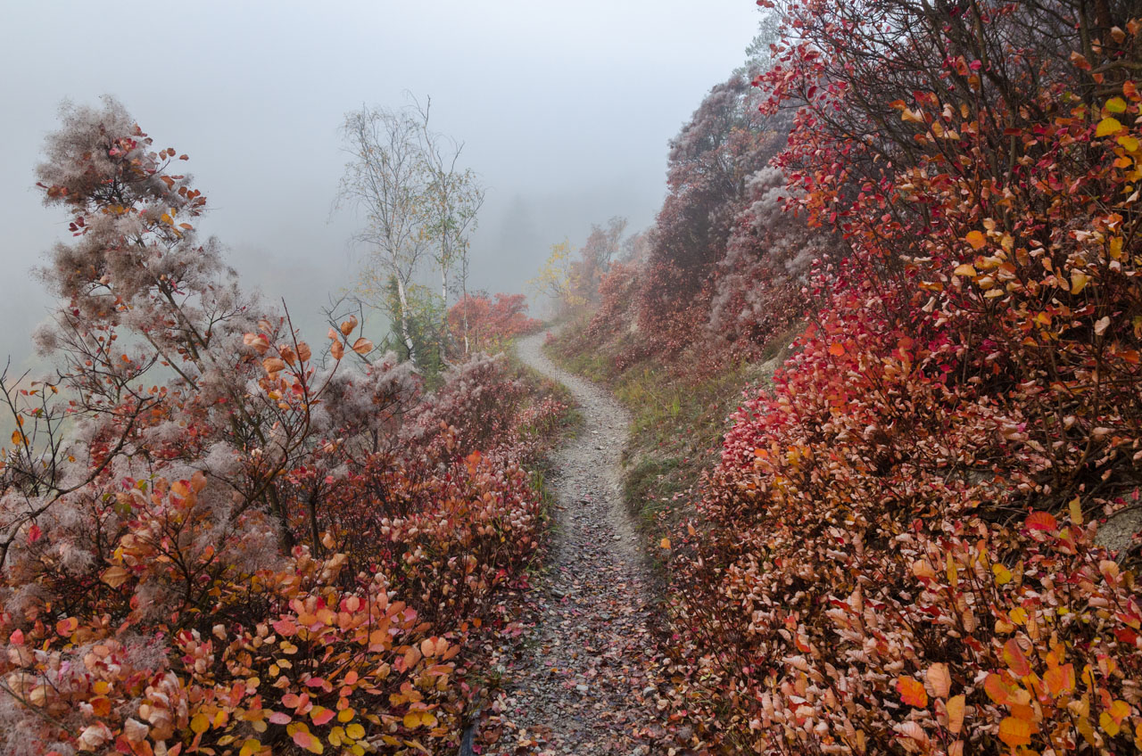 Morgenröte im Zauberwald Teil 2