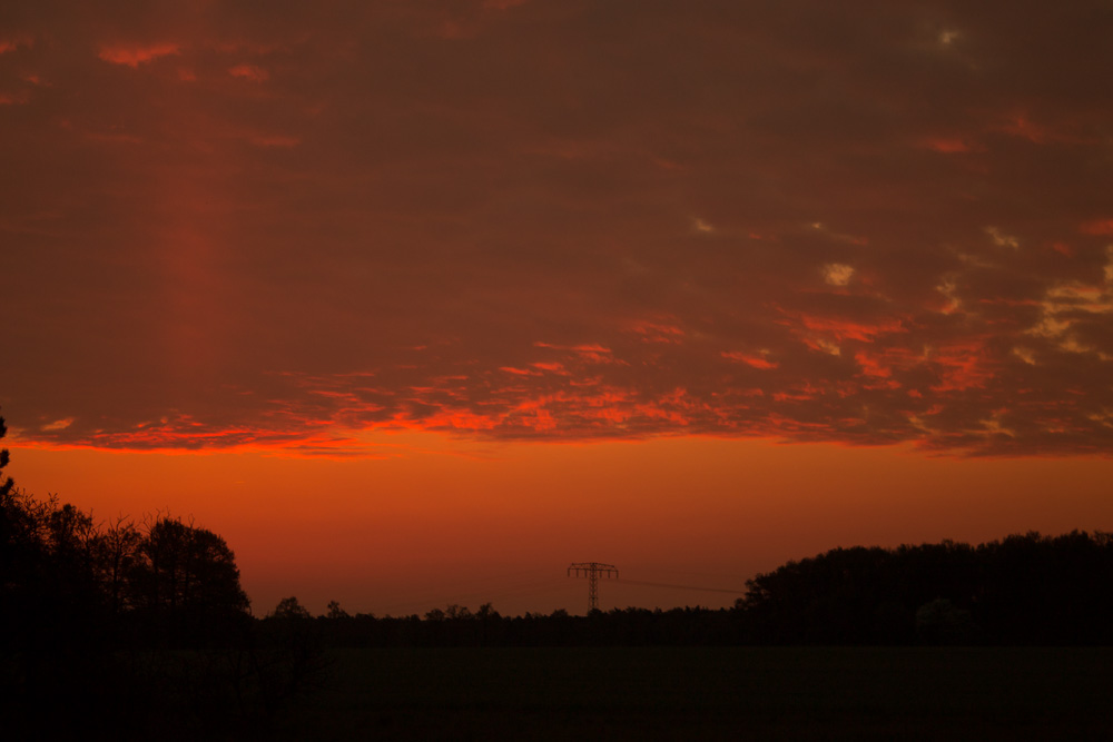 Morgenröte in Branitz