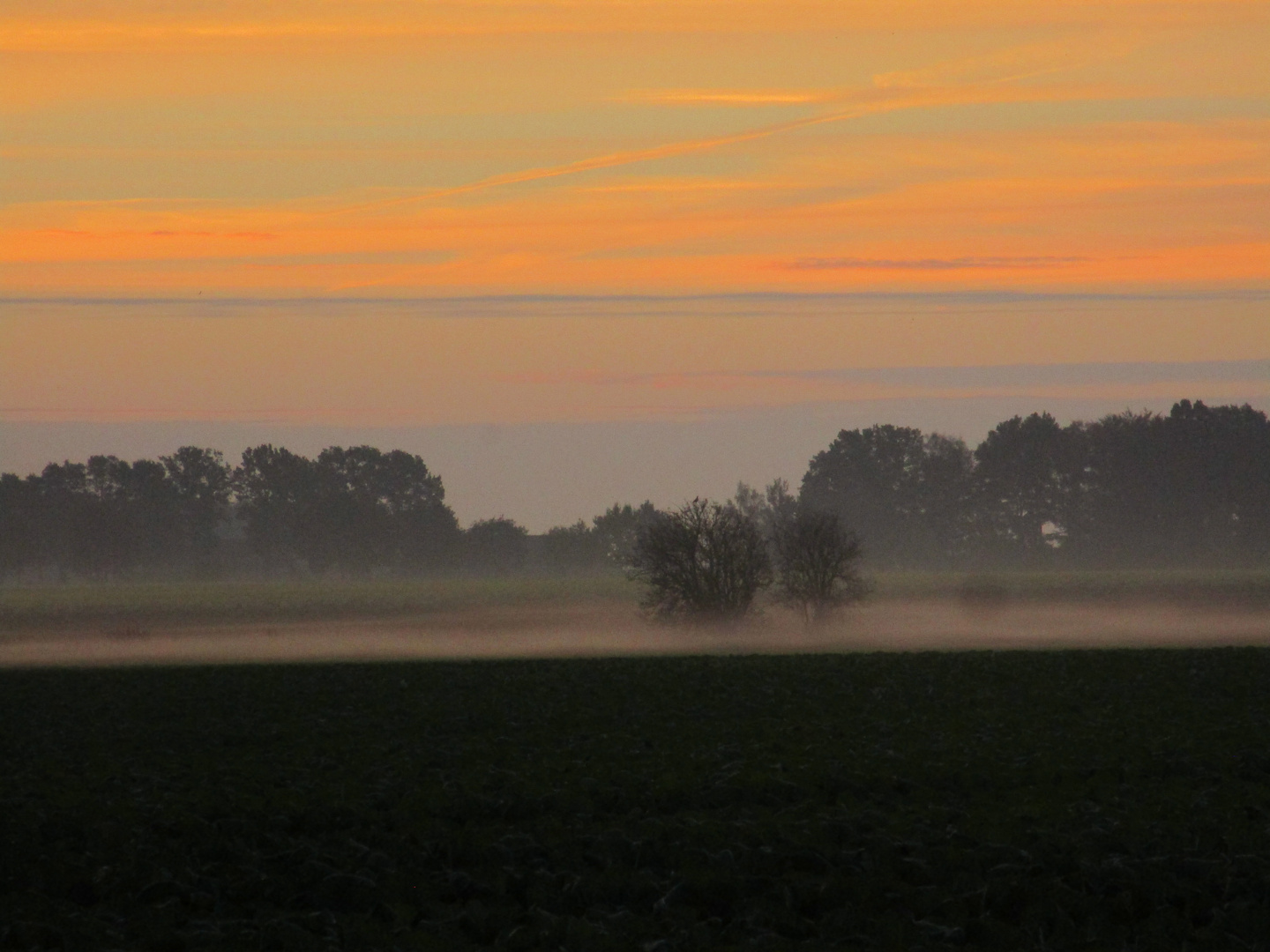 Morgenröte mit Nebel