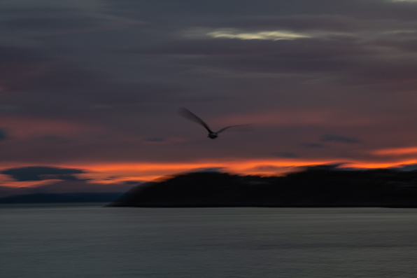 Morgenröte Norwegen