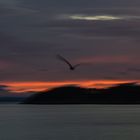 Morgenröte Norwegen