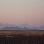 Morgenröte über der Namib