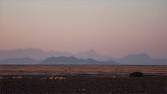 Morgenröte über der Namib