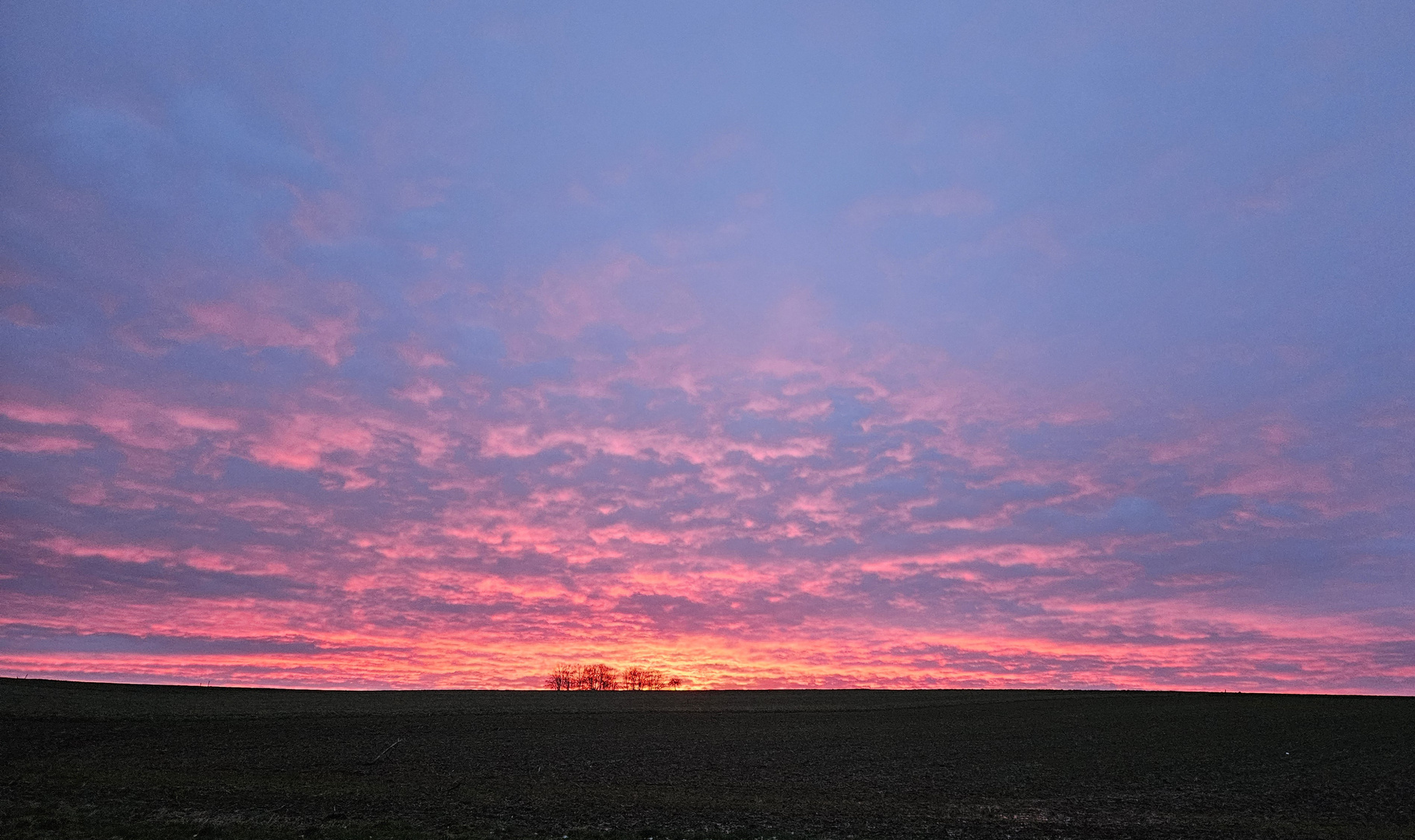 Morgenrot