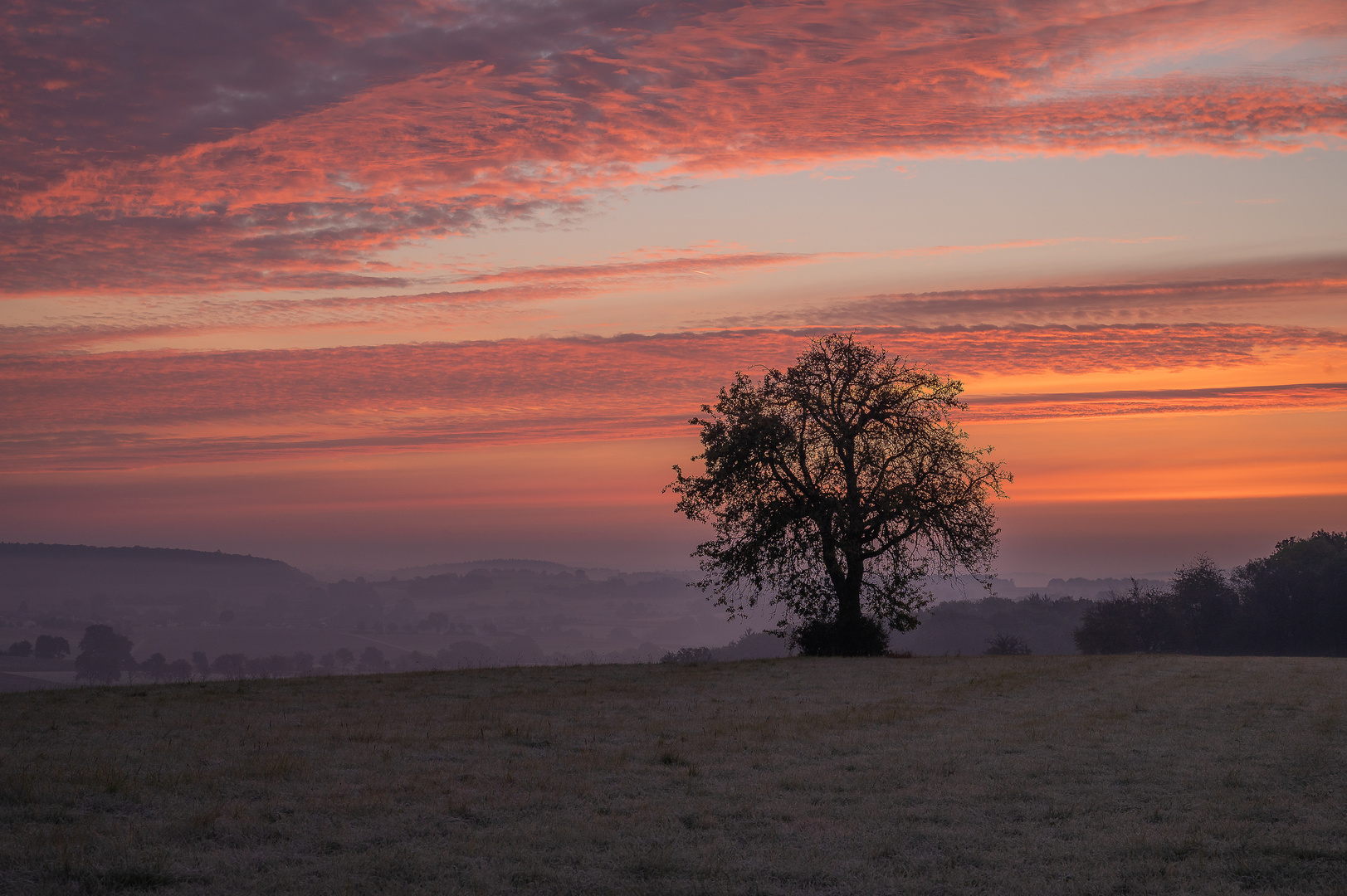 Morgenrot