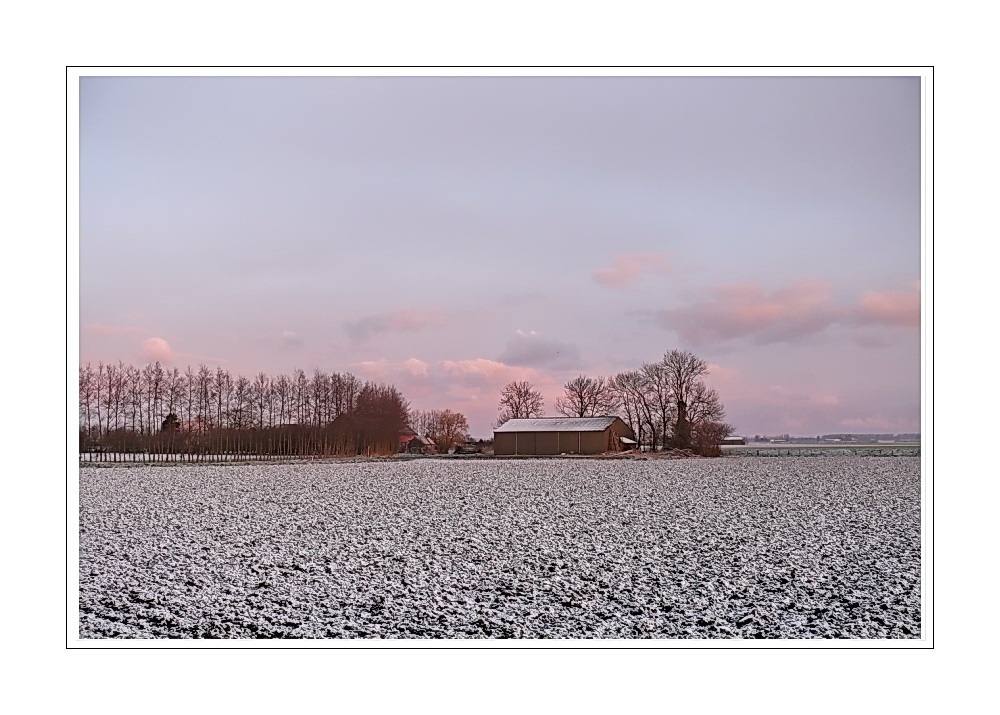 Morgenrot 23.03.08 at 06:44:02 (Polderland nordlich von Oranjedijk)