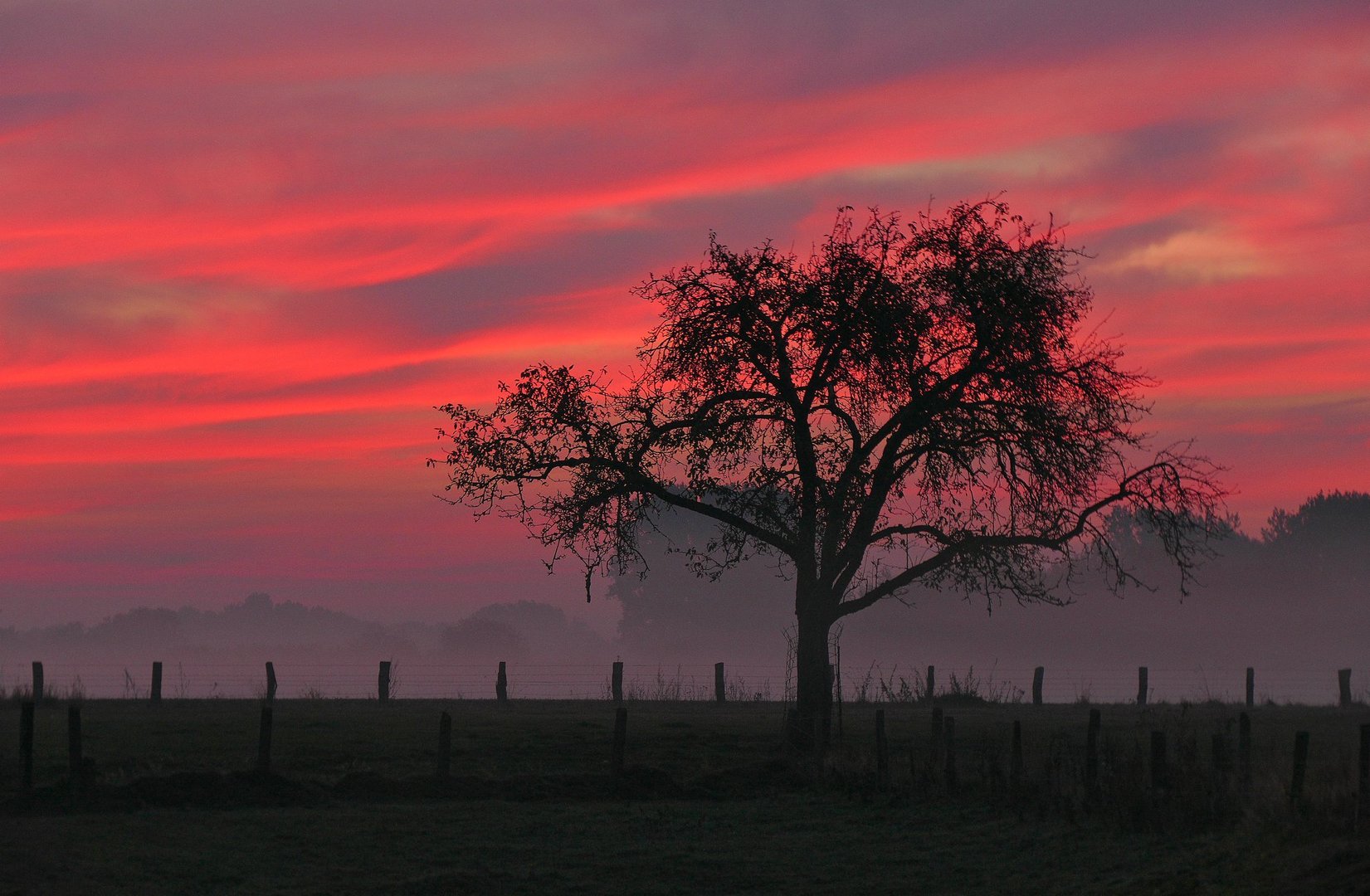 Morgenrot