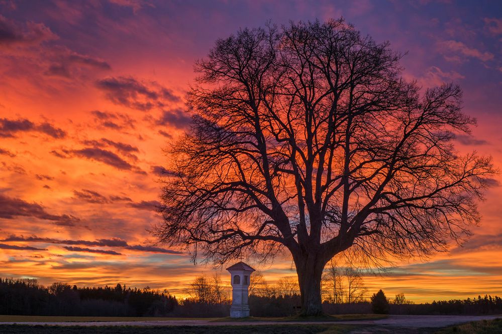 Morgenrot