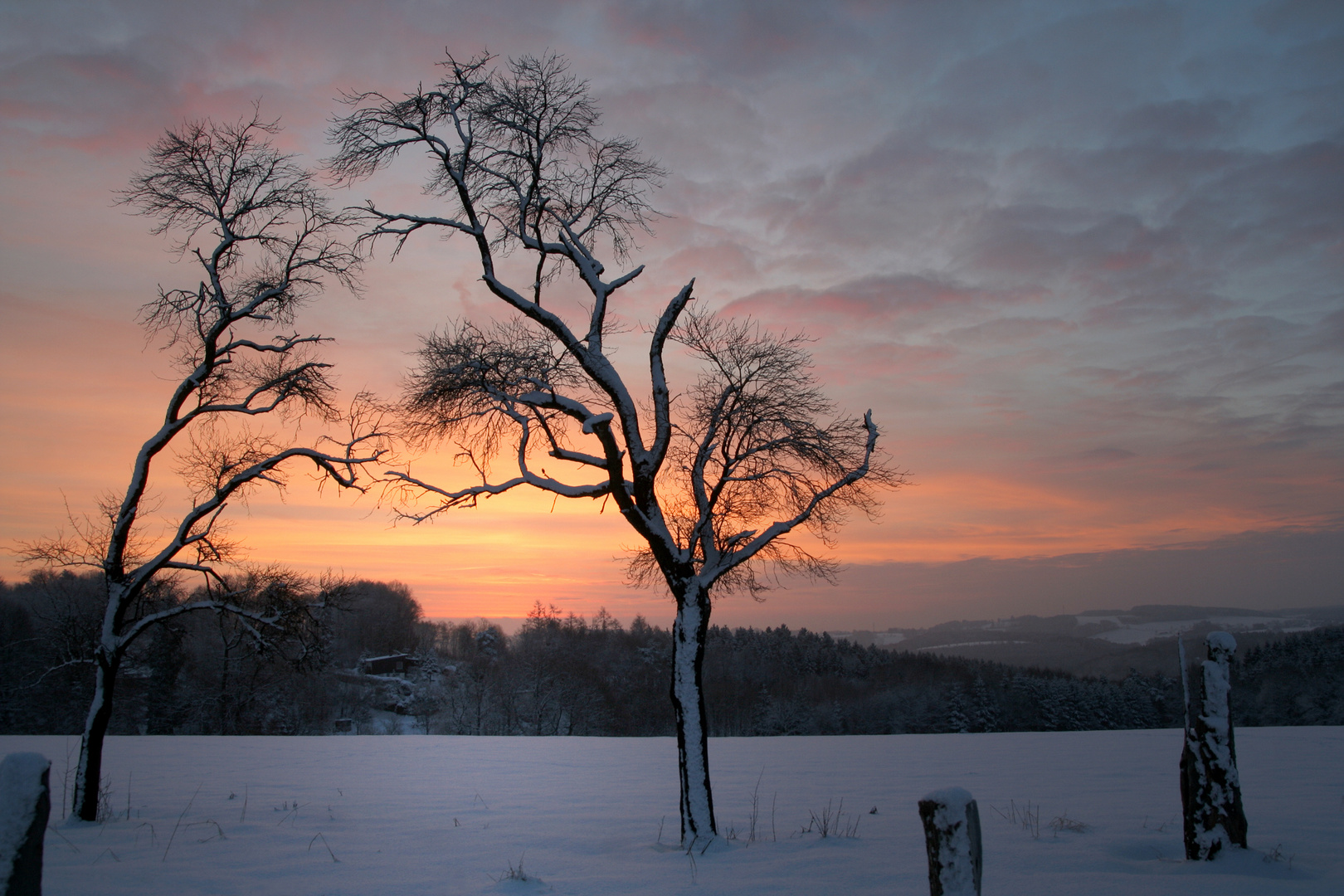 Morgenrot