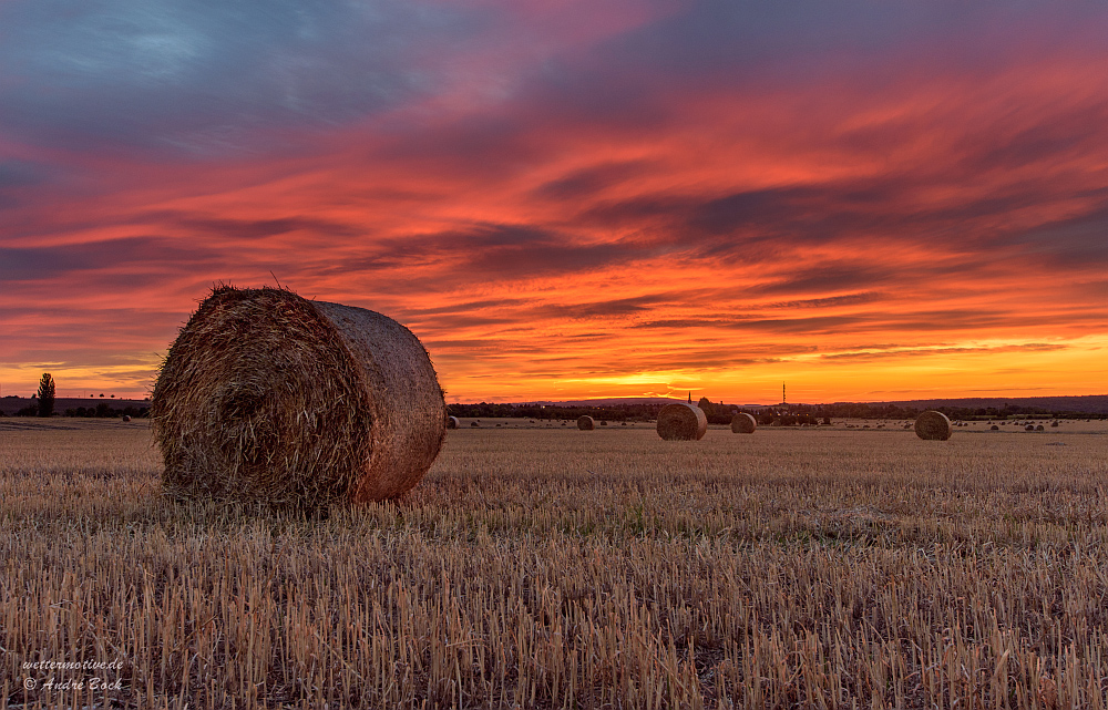 Morgenrot