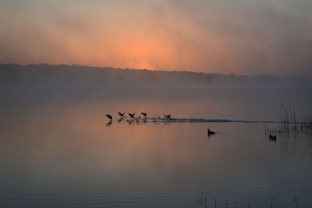 Morgenrot...