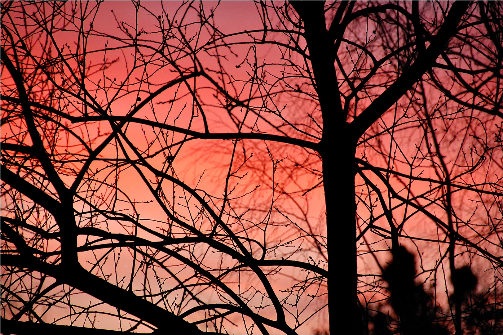 Morgenrot am 26. Dezember 2017