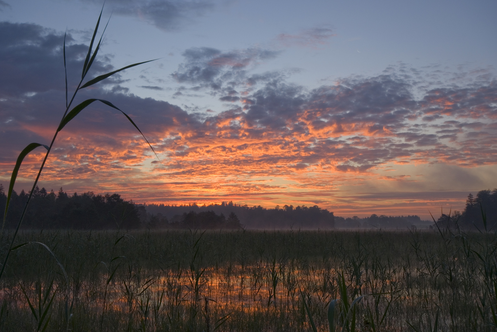 Morgenrot am Breitenauersee