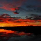 Morgenrot am Federsee