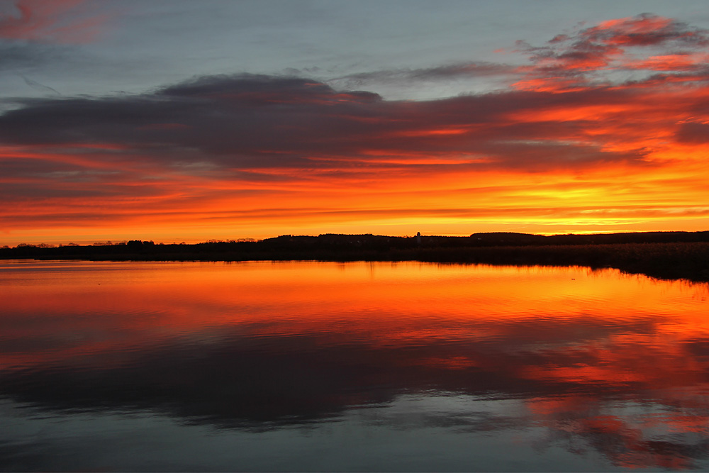 Morgenrot am Federsee