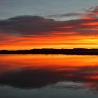 Morgenrot am Federsee