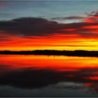 Morgenrot am Federsee