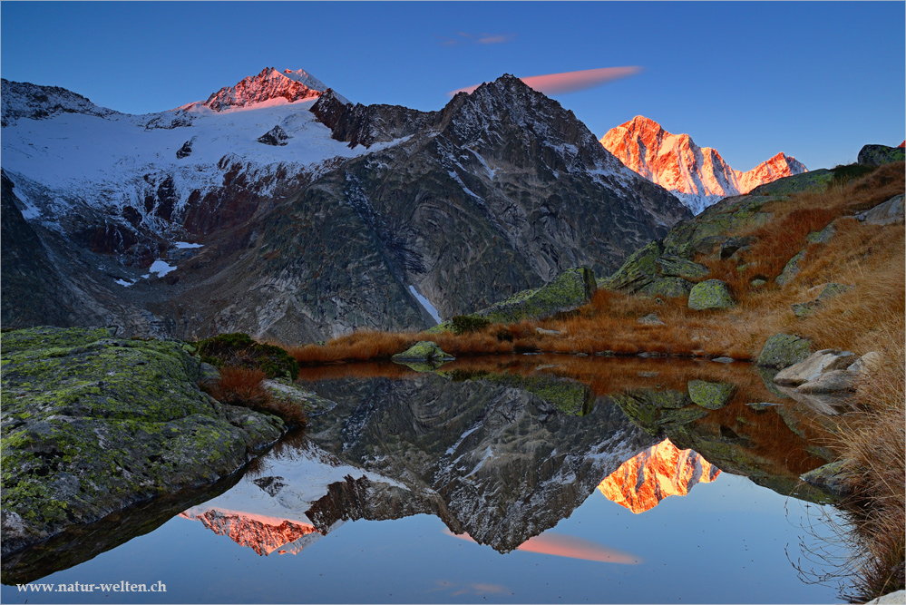 Morgenrot am Finsteraarhorn