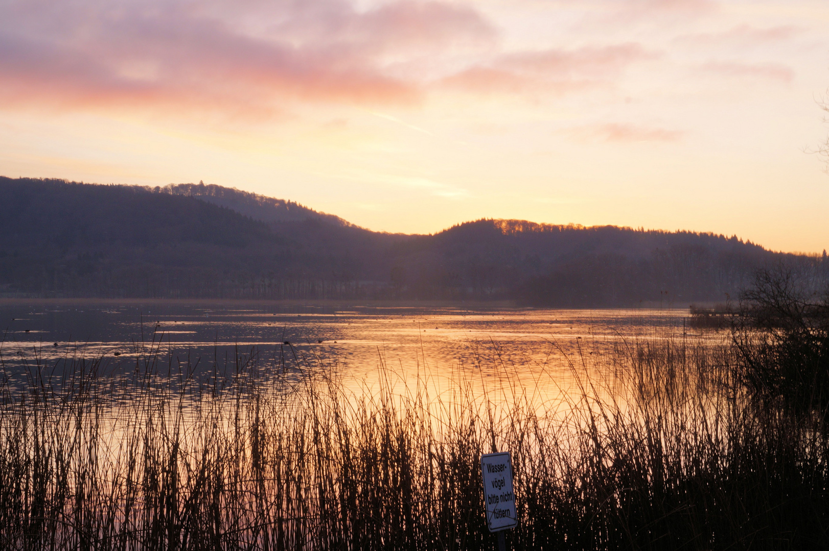 Morgenrot am Laacher See