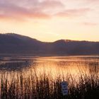 Morgenrot am Laacher See