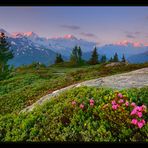 Morgenrot am Mt. Blanc