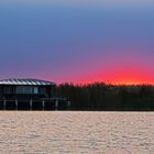 Morgenrot am Neusiedlersee