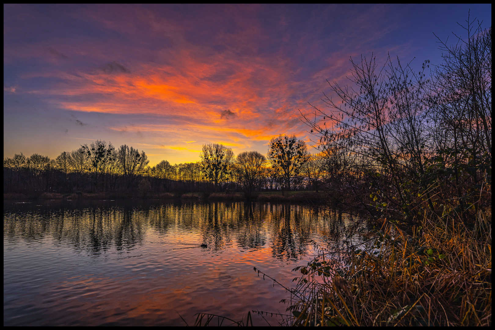 Morgenrot am See