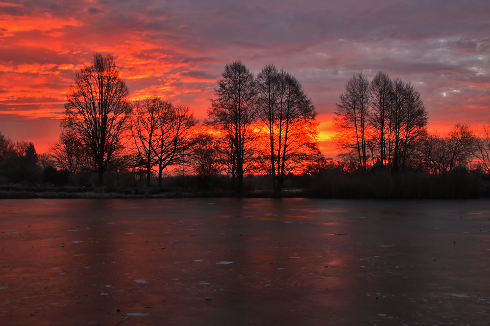 Morgenrot am Weiher