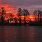 Morgenrot am Weiher