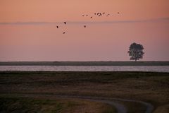 Morgenrot an der Schlei