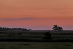 Morgenrot an der Schlei