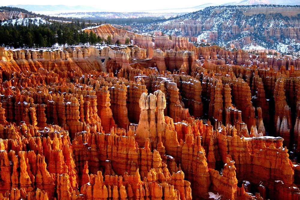 Morgenrot auf bizarren Felsen im Bryce Canyon