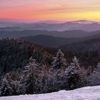 Morgenrot auf dem Hochblauen