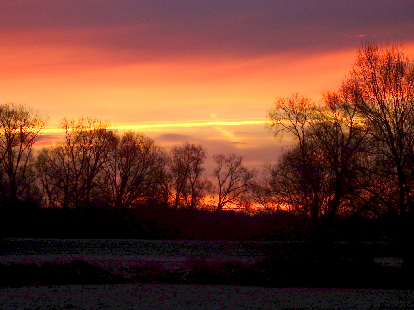 Morgenrot auf den Elbwiesen bei Coswig/Anhalt