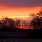 Morgenrot auf den Elbwiesen bei Coswig/Anhalt