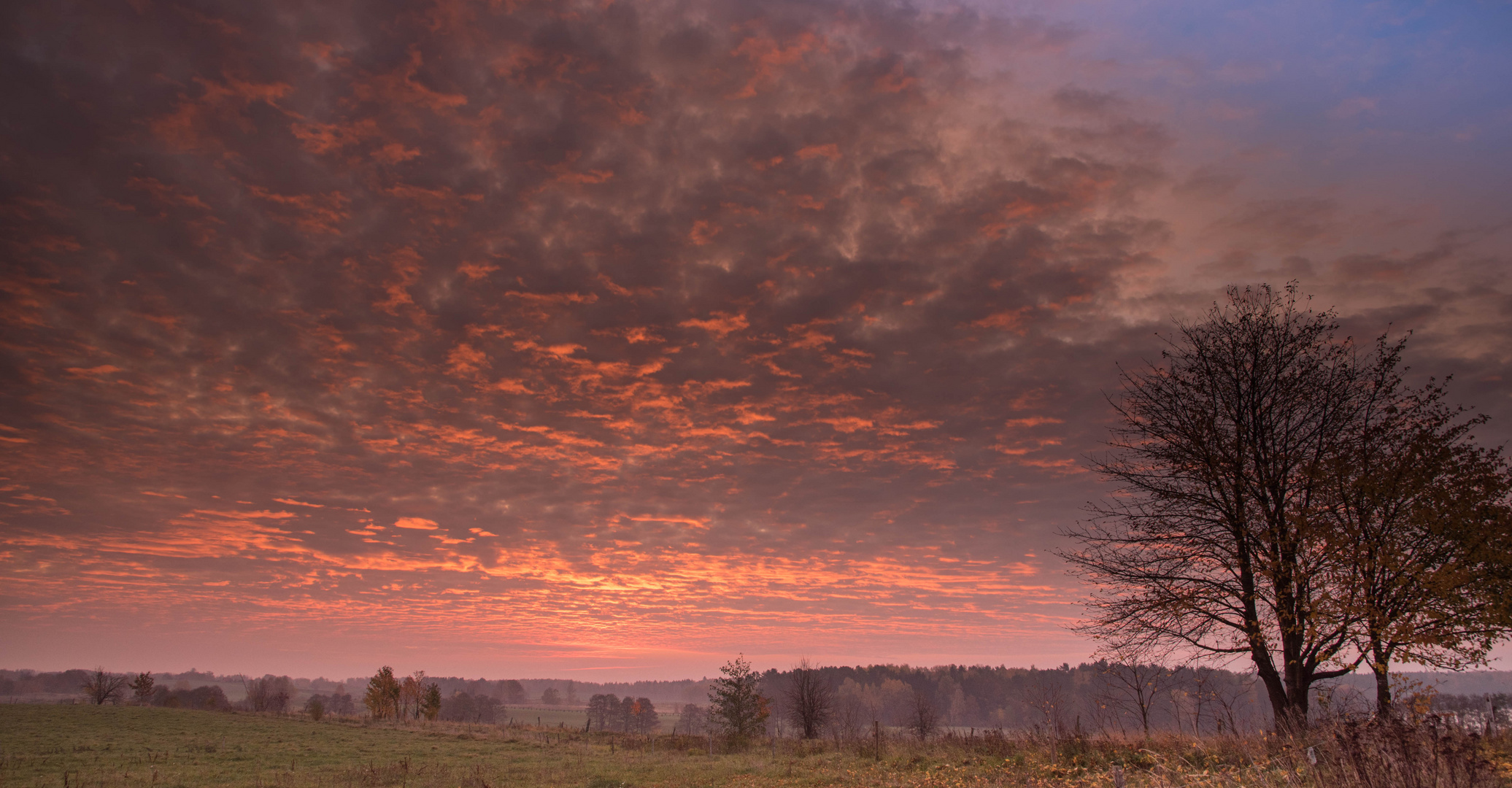 Morgenrot