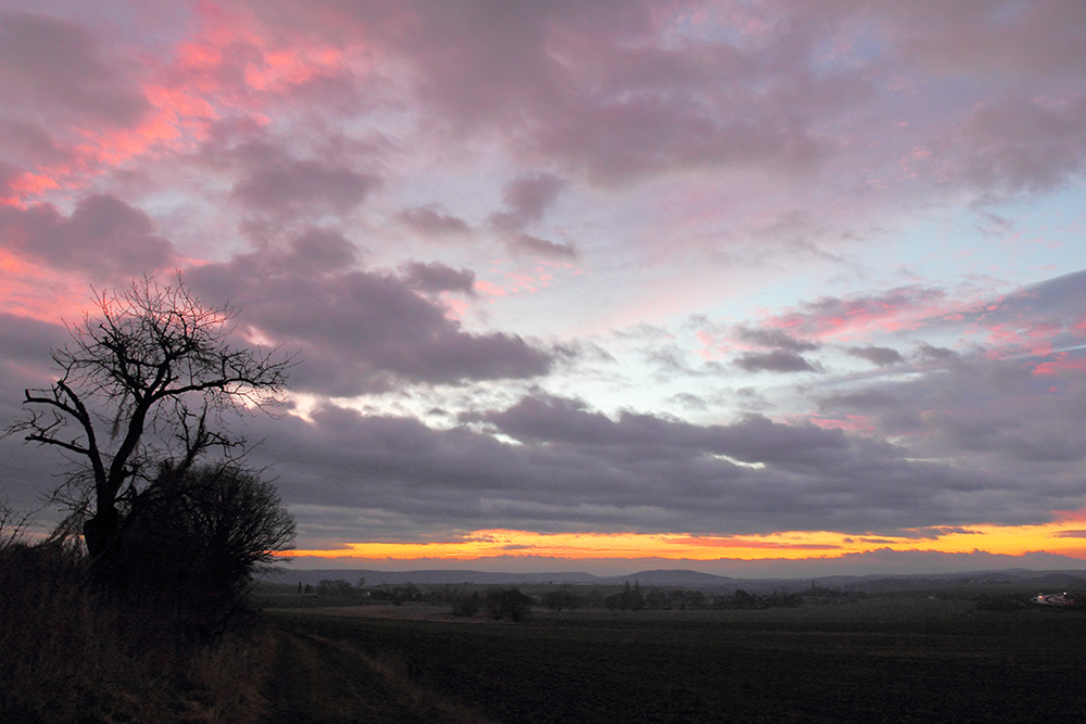 Morgenrot bei Dohna