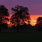 Morgenrot bei Gildehaus