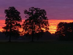 Morgenrot bei Gildehaus