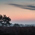 Morgenrot beim Natur- und Landschaftskurs