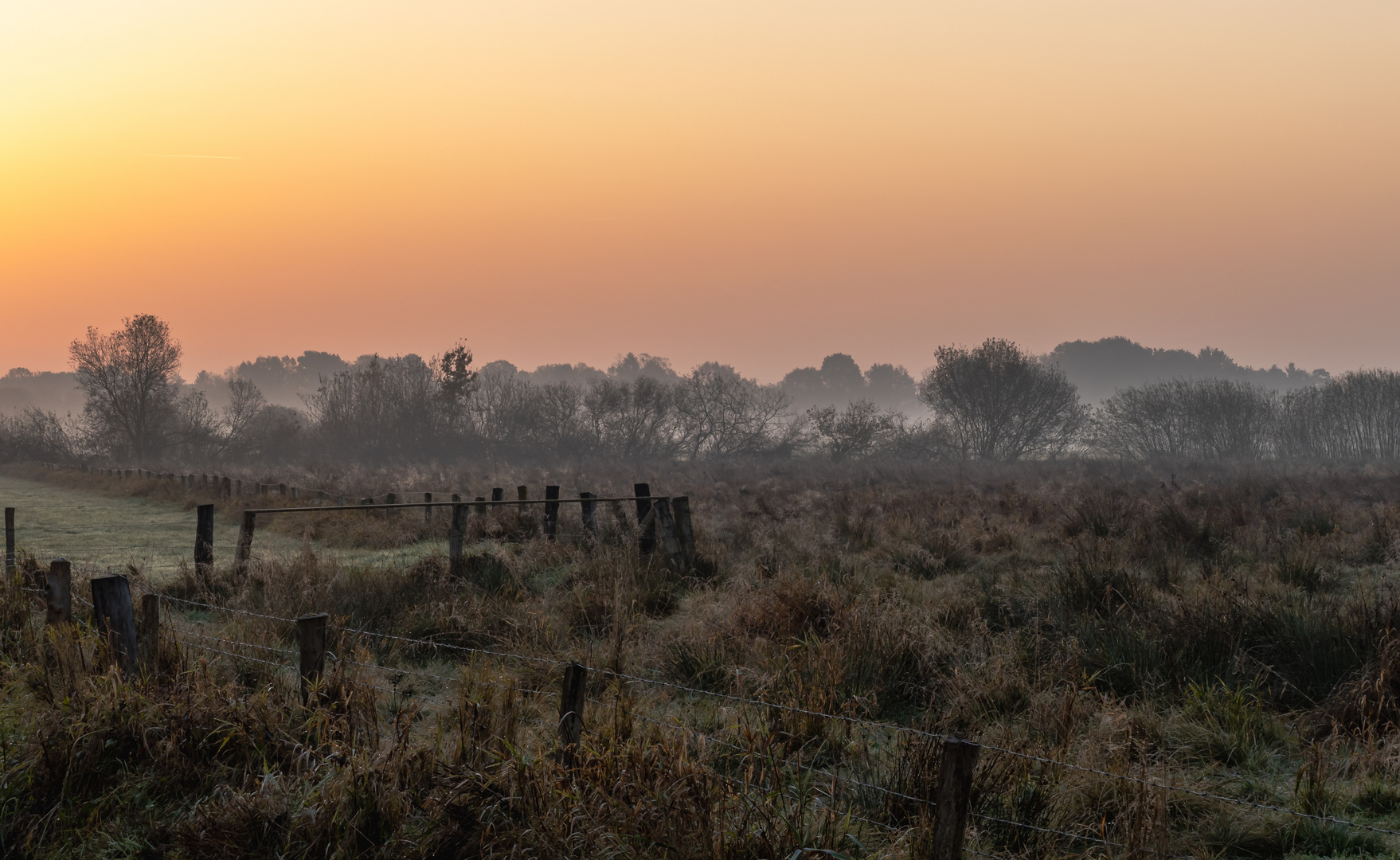 Morgenrot