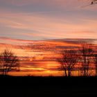 Morgenrot durch Cirrus Wolken