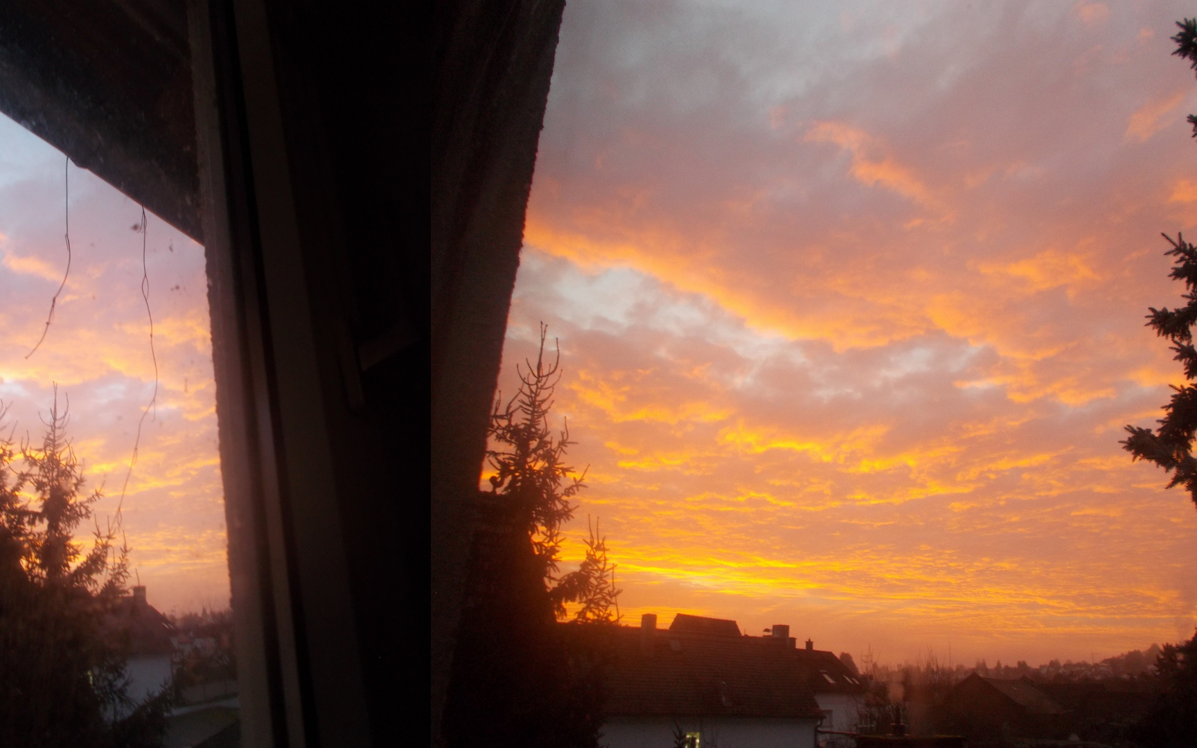 Morgenrot  !!!