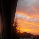 Morgenrot  !!!