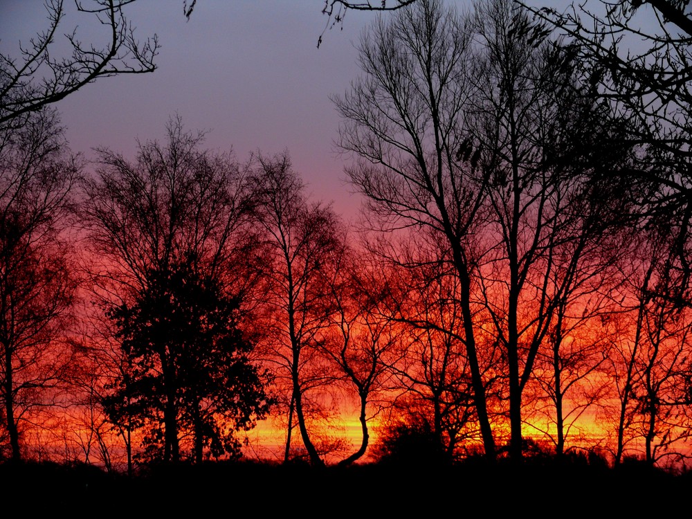 Morgenrot - einfach nur schön ...