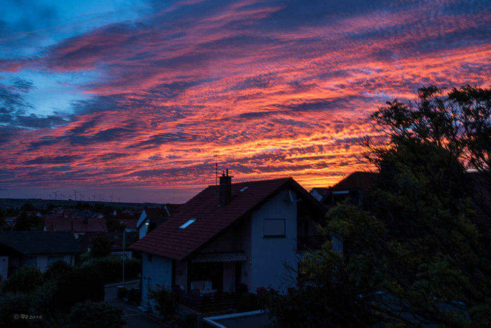 Morgenrot